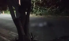 Homem morre após colidir em árvore e deixa duas pessoas feridas em Parnaíba
