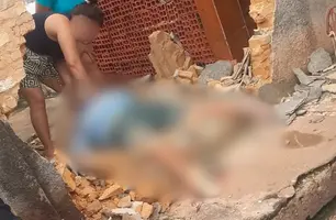 Homem morre após ser prensado por carro contra muro em Altos; estrutura desabou (Foto: Reprodução)
