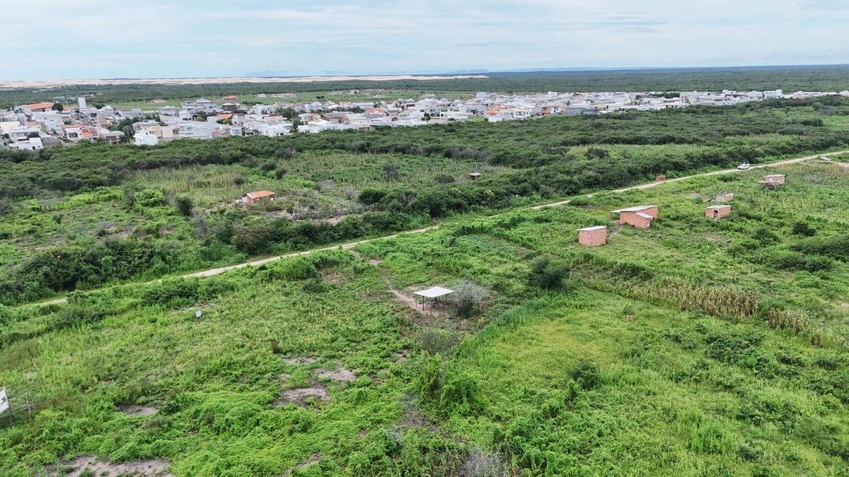 Justiça autoriza desapropriação de área invadida na BR-343, em Parnaíba