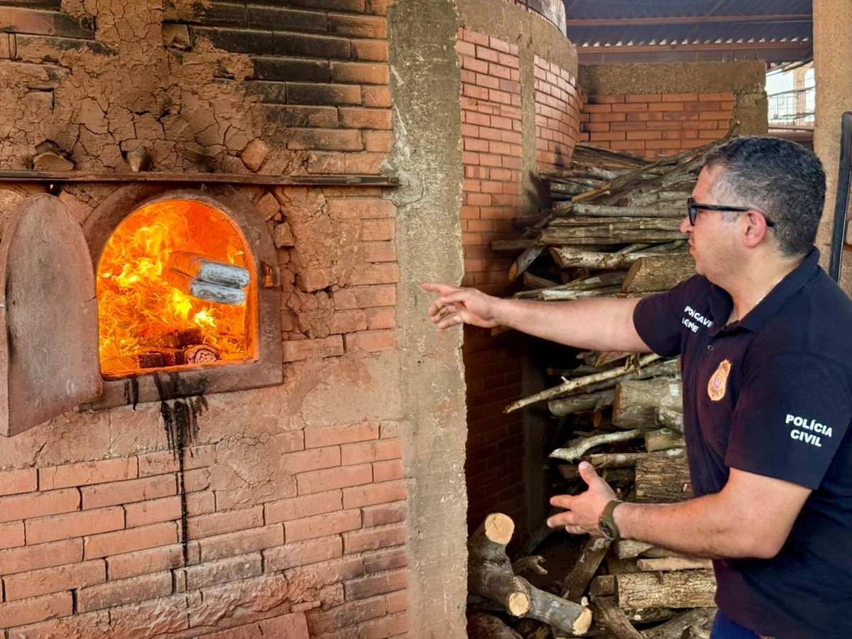 Mais de 800 kg de drogas apreendidas em operações são incineradas em Teresina