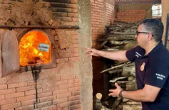 Mais de 800 kg de drogas apreendidas em operações são incineradas em Teresina