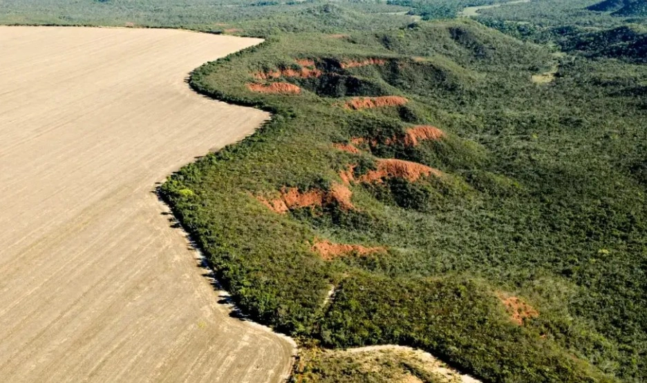 Matopiba cresce e se torna destaque entre regiões agrícolas do Brasil