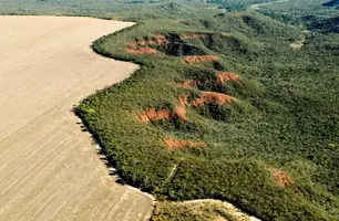 Matopiba cresce e se torna destaque entre regiões agrícolas do Brasil (Foto: Reprodução)
