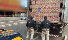 Meio milhão de maços de cigarros contrabandeados são apreendidos em Teresina