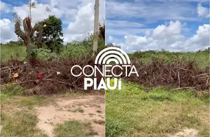 Moradores denunciam entulho e risco de acidentes após corte de árvores em Teresina (Foto: Reprodução)