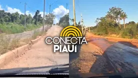 Motoristas denunciam 'crateras da lua' em avenida na zona Sul de Teresina (Foto: Reprodução)