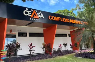 Nova Ceasa lança atendimento odontológico para trabalhadores em Teresina (Foto: Conecta Piauí)