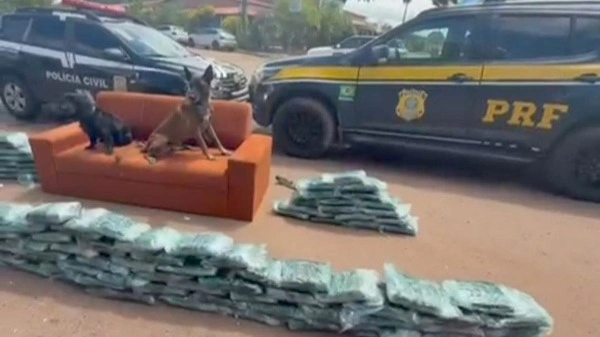 Operação apreende 120 kg de drogas escondidos em caminhão no Maranhão