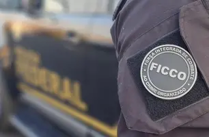 Operação Boca do Lobo desarticula organização criminosa de tráfico no Piauí (Foto: Reprodução)