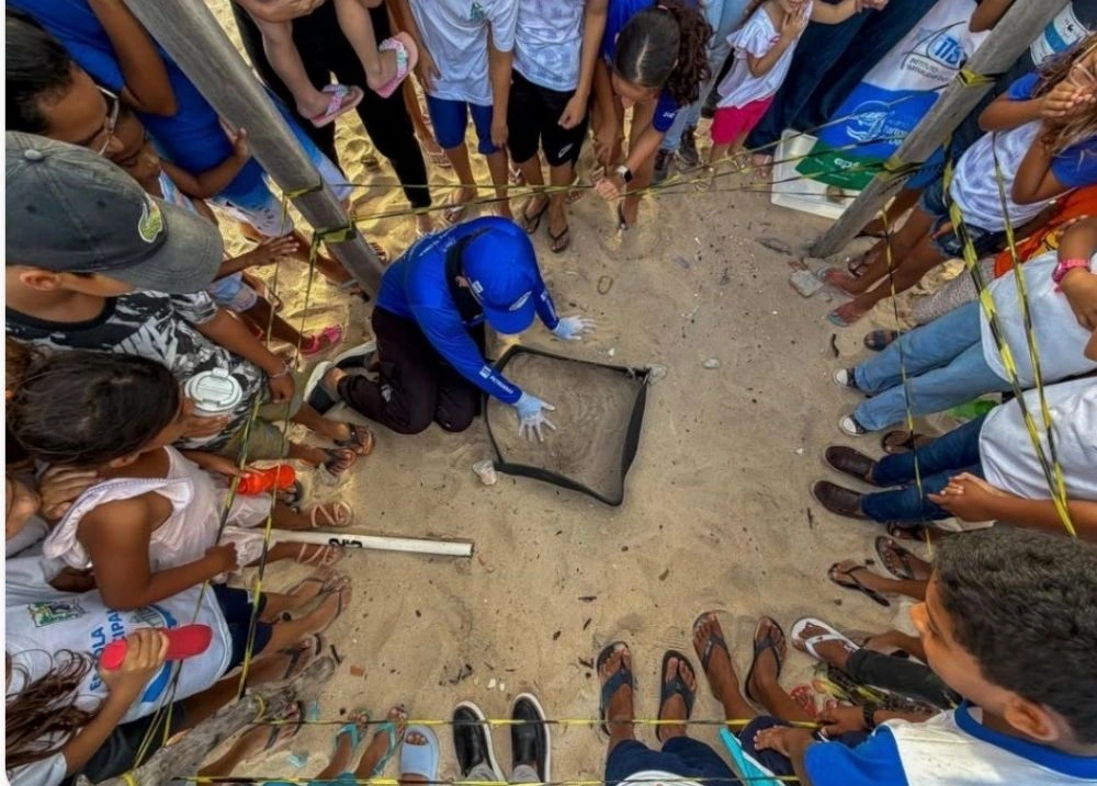 Parnaíba participa de ação ambiental com nascimento de tartarugas