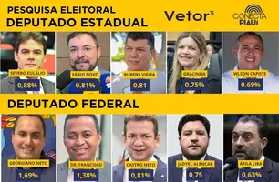 Pesquisa Vetor3 (Foto: Reprodução)