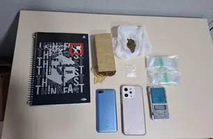 PM e Polícia Civil prendem mulher suspeita de tráfico em Santa Luz do Piauí (Foto: Reprodução)