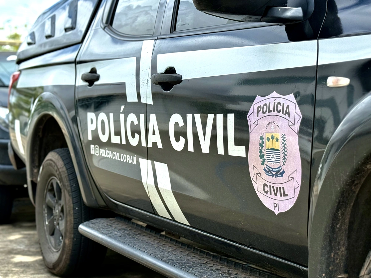 Polícia Civil do Piauí