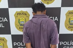 Polícia Civil prende suspeito por descumprir medida protetiva em Castelo do Piauí (Foto: Reprodução)