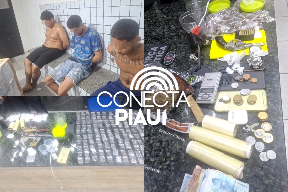 Polícia Militar apreende drogas, arma e munições em boca de fumo no Parque Poty