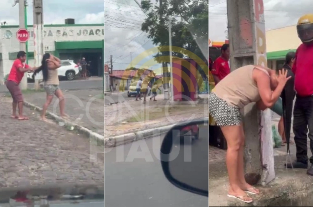 População é atacada por enxame de abelhas na zona Norte de Teresina