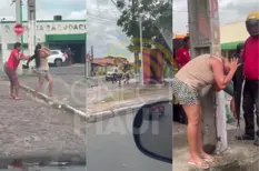 População é atacada por enxame de abelhas na zona Norte de Teresina