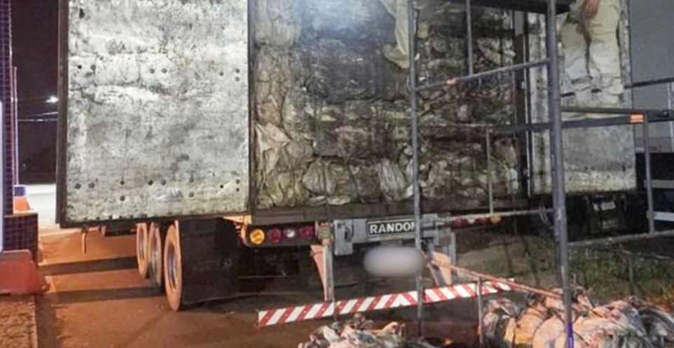 PRF apreende carga ilegal de madeira e drogas escondidas em caminhão em Picos