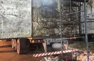 PRF apreende carga ilegal de madeira e drogas escondidas em caminhão em Picos (Foto: Reprodução)