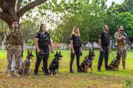 SSP-PI sedia curso voltado à busca de pessoas com cães de odor específico
