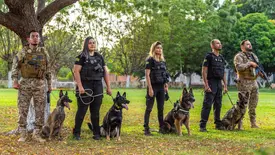 SSP-PI sedia curso voltado à busca de pessoas com cães de odor específico (Foto: Reprodução)