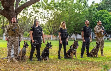 SSP-PI sedia curso voltado à busca de pessoas com cães de odor específico
