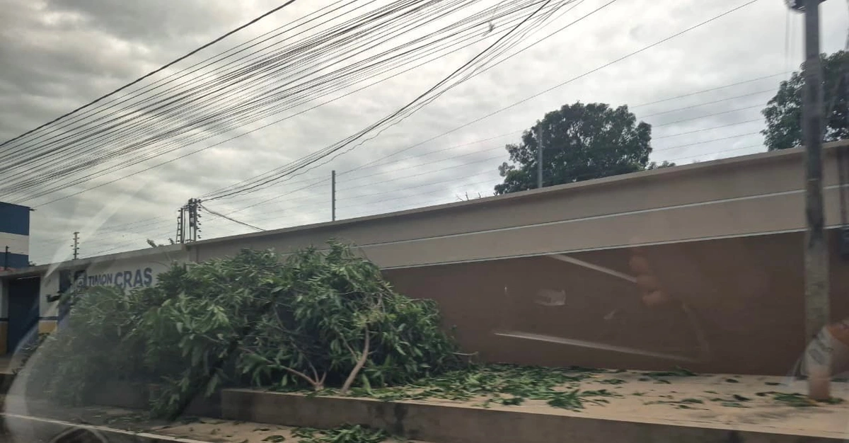 Timon sob Risco: Omissão e Manobras Ameaçam a Limpeza Urbana
