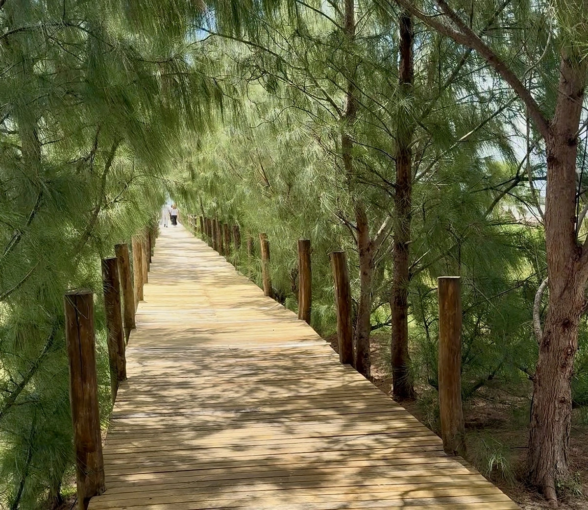 Turismo e investimentos transformam Praia de Macapá em vitrine da economia criativa no litoral do Piauí