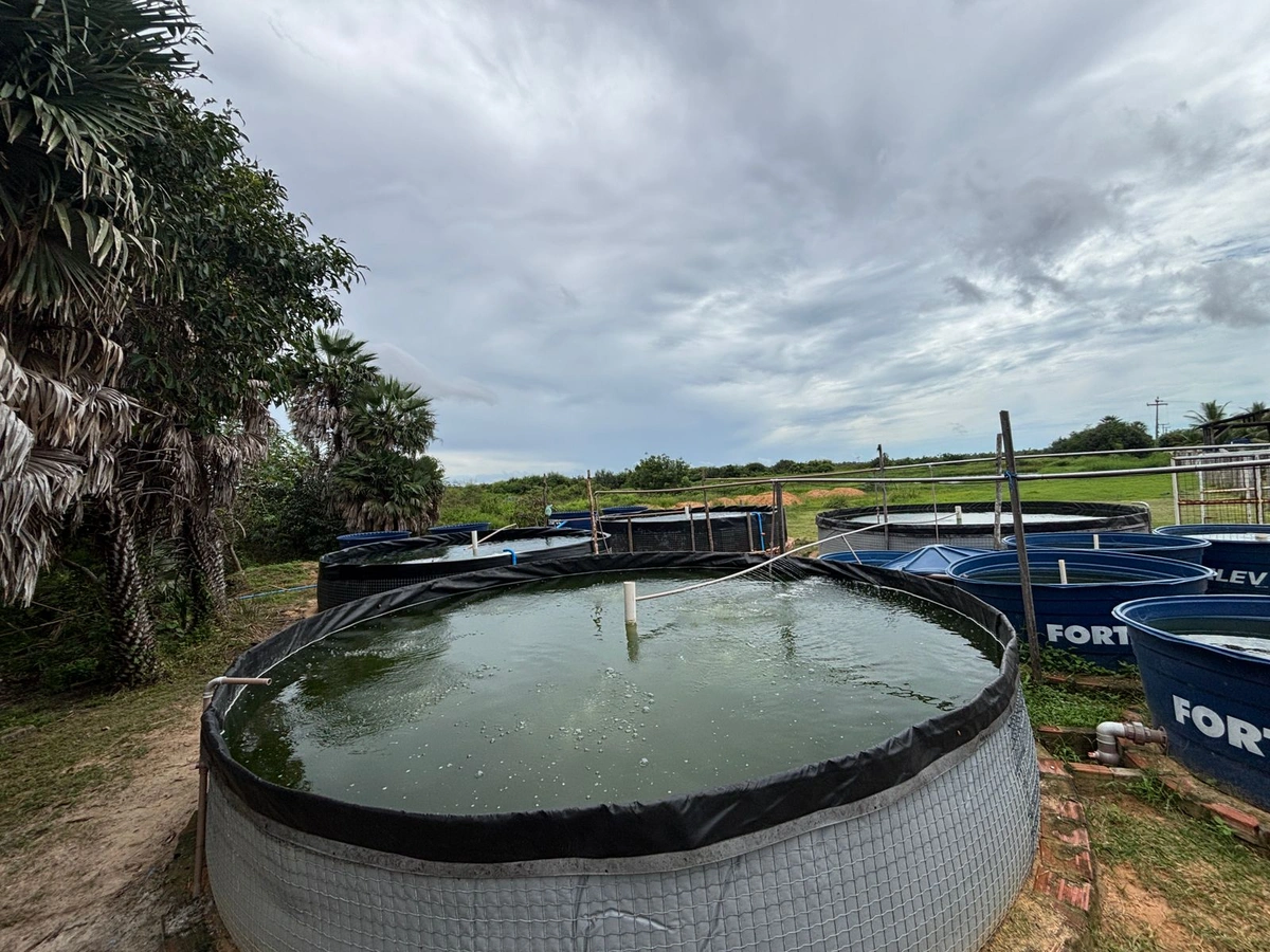UFDPar fortalece aquicultura familiar com novos tanques em Parnaíba