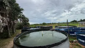 UFDPar fortalece aquicultura familiar com novos tanques em Parnaíba (Foto: Conecta Piauí)