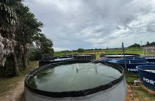 UFDPar fortalece aquicultura familiar com novos tanques em Parnaíba (Foto: Conecta Piauí)