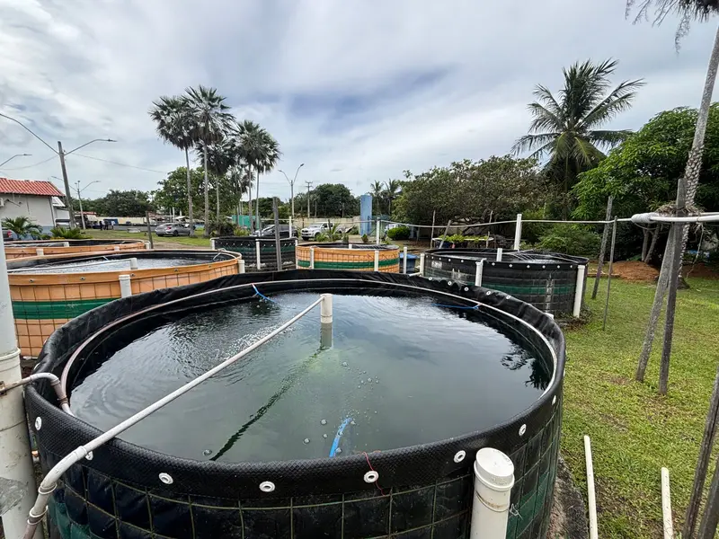 UFDPar fortalece aquicultura familiar com novos tanques em Parnaíba