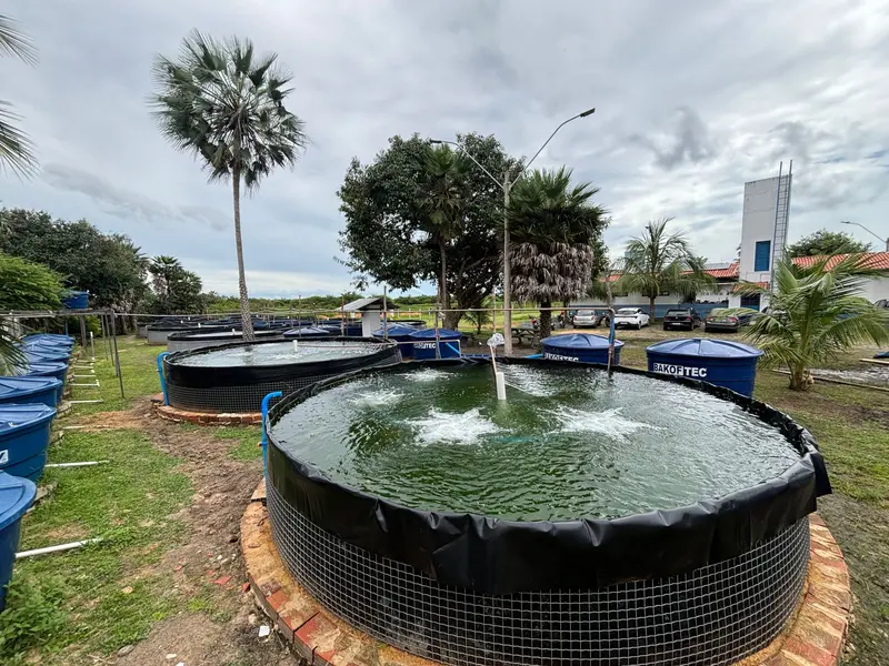 UFDPar fortalece aquicultura familiar com novos tanques em Parnaíba