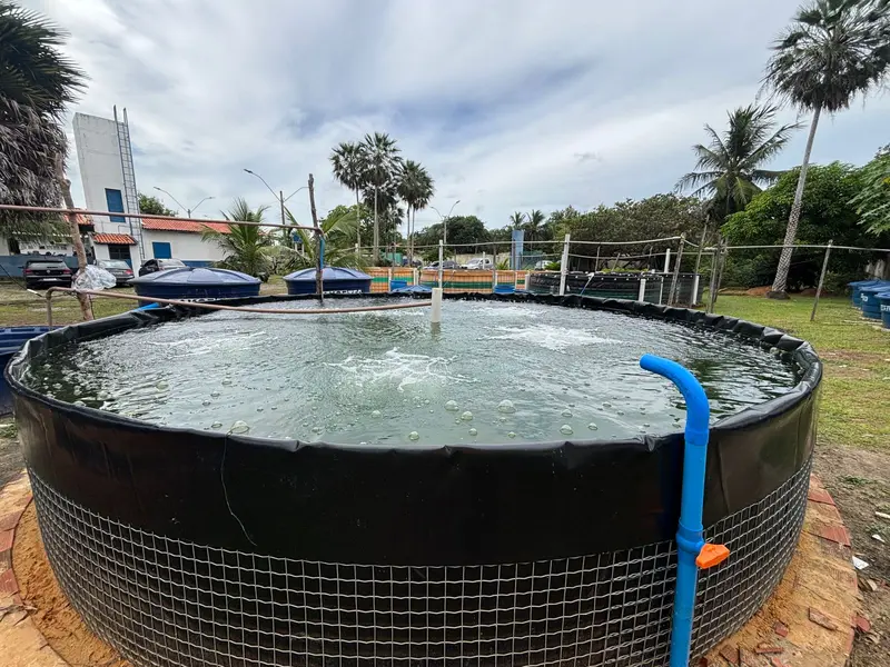 UFDPar fortalece aquicultura familiar com novos tanques em Parnaíba