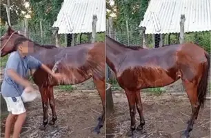 Adolescente entra em desespero após encontrar égua morta no Piauí (Foto: Reprodução Canal121)