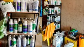 Agência interdita e notifica empresa por venda irregular de agrotóxicos no Piauí (Foto: Reprodução)