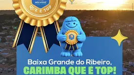 Baixa Grande do Ribeiro recebe selo 'Carimba que é Top Dourado' do Unicef (Foto: Reprodução)