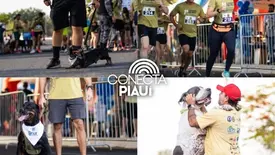 Cãorrida da SSP terá atendimento veterinário gratuito em Teresina (Foto: Reprodução)