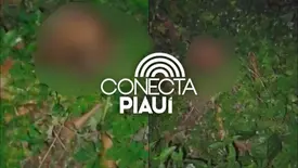 Crânio humano é encontrado próximo ao Cemitério Buenos Aires, na zona Norte de Teresina (Foto: Reprodução)