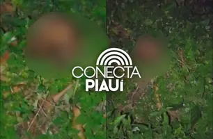 Crânio humano é encontrado próximo ao Cemitério Buenos Aires, na zona Norte de Teresina (Foto: Reprodução)