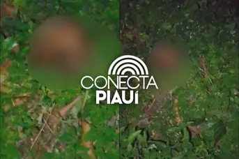 Crânio humano é encontrado próximo ao Cemitério Buenos Aires, na zona Norte de Teresina
