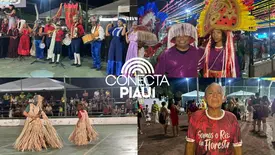 Encontro Nacional de Folguedos encerra com noite de tradição e brilho dos bois (Foto: Conecta Piauí)