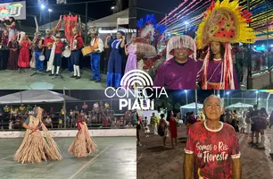 Encontro Nacional de Folguedos encerra com noite de tradição e brilho dos bois (Foto: Conecta Piauí)