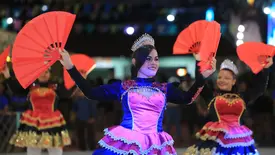 Festival Cultural dos Cocais chega à 21ª edição em São João do Arraial (Foto: Divulgação)