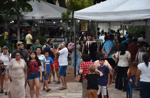Festival de Inverno de Pedro II começa na quinta-feira (04) (Foto: Reprodução)