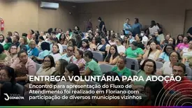 FLUXO DE ATENDIMENTO: Entrega voluntária para adoção (Foto: YouTube)