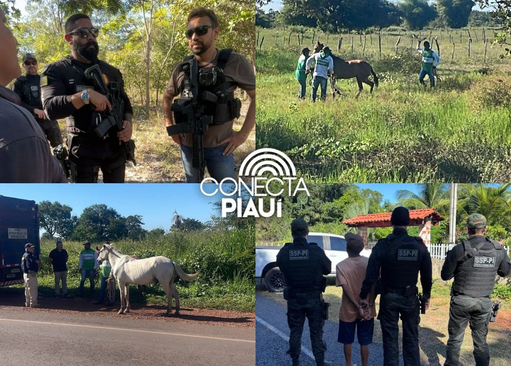 Foragidos são presos durante operação de segurança no Centro-Norte do Piauí