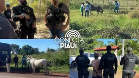 Foragidos são presos durante operação de segurança no Centro-Norte do Piauí (Foto: Reprodução)