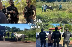 Foragidos são presos durante operação de segurança no Centro-Norte do Piauí (Foto: Reprodução)