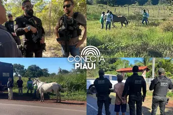 Foragidos são presos durante operação de segurança no Centro-Norte do Piauí